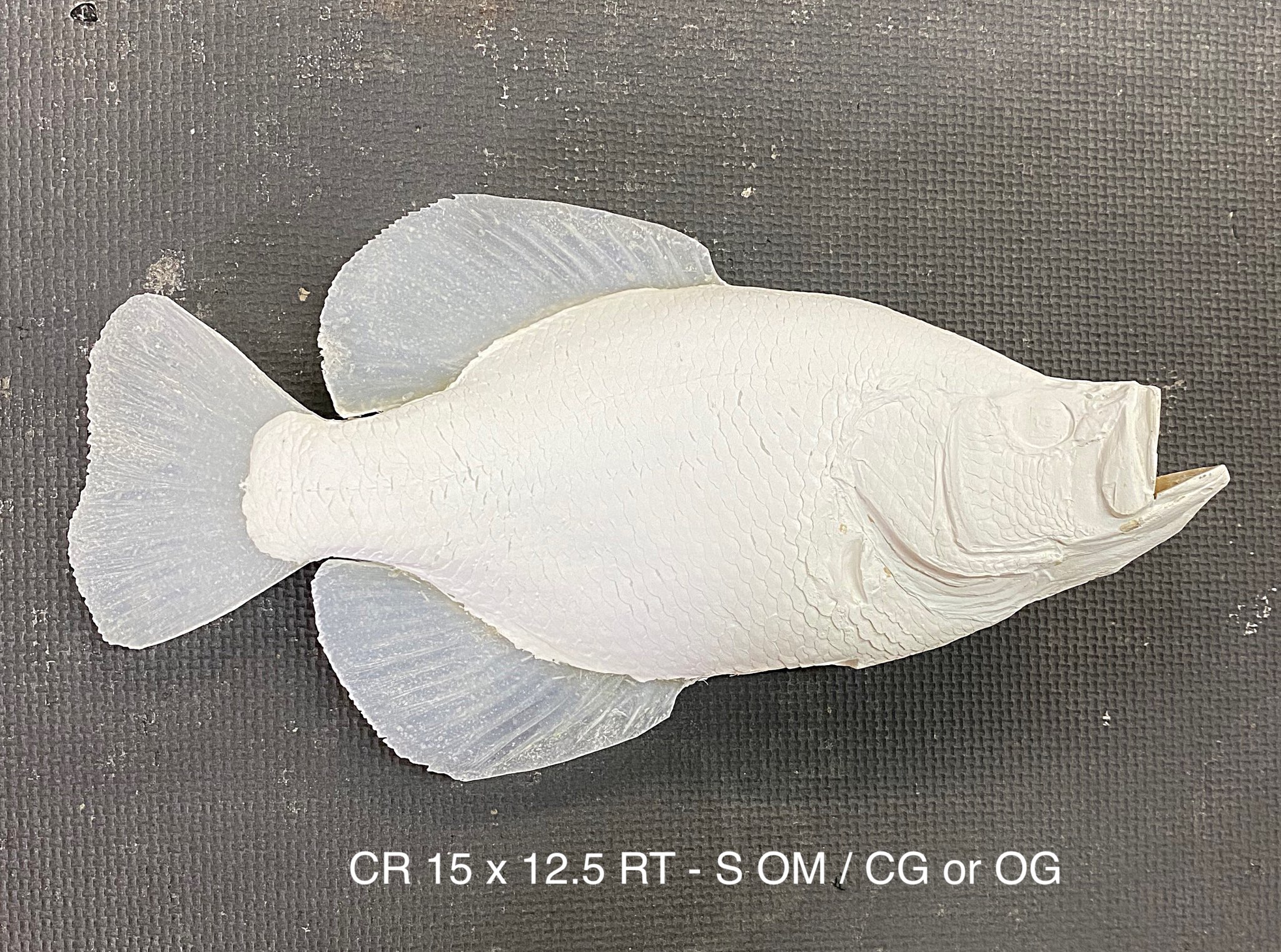 Custom Reproductions - Bauman’s Taxidermy & Custom Reproduction Fish